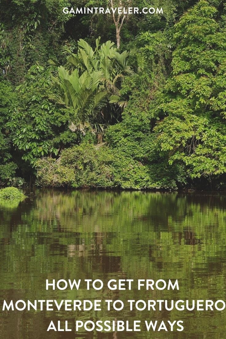 How To Get From Monteverde To Tortuguero Best Way 1 How To Get From Monteverde To Tortuguero - All Possible Ways, cheapest way from Monteverde to Tortuguero, Monteverde to Tortuguero, Monteverde to Tortuguero bus, Boat from Tortuguero to La Pavona, La Pavona to Cariari, Cariari to San Jose, San Jose to Cariari, Cariari to La Pavona, La Pavona to Tortuguero, Monteverde to San Jose Costa Rica