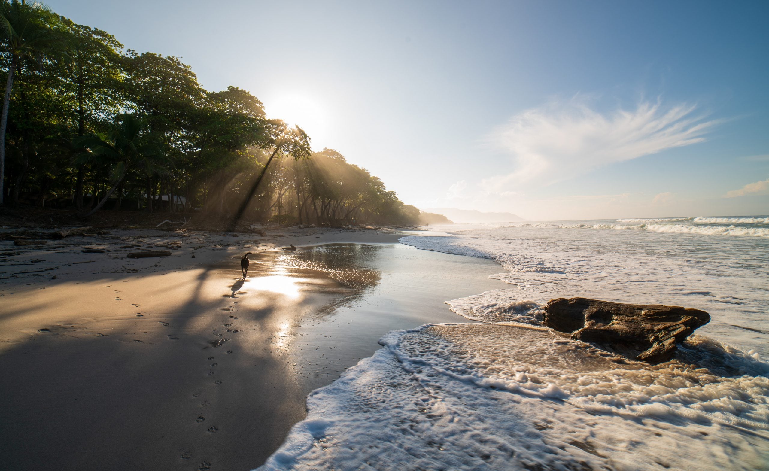 How To Get From Jaco To Santa Teresa - All Possible Ways, cheapest way from Jaco to Santa Teresa, Jaco to Santa Teresa, Jaco costa rica to Santa Teresa, Jaco to Santa Teresa bus, Jaco to Santa Teresa costa rica