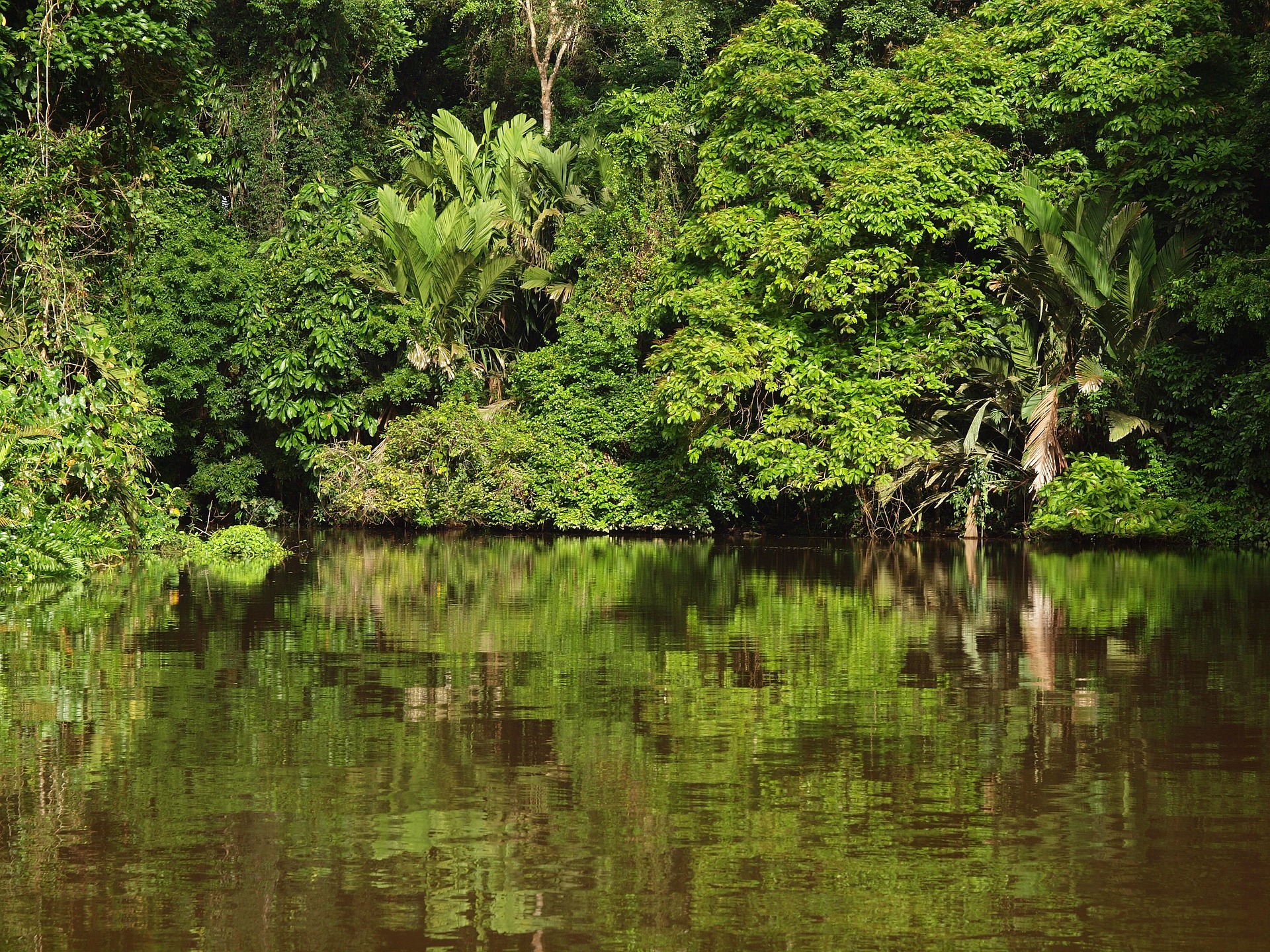 How To Get From La Fortuna to Tortuguero - All Possible Ways, cheapest way from La Fortuna to Tortuguero, La Fortuna to Tortuguero, La Fortuna Costa Rica to Tortuguero, San Ramon to La Fortuna, La Fortuna to Ciudad Quesada, San Jose to Cariari, Cariari to La Pavona, Boat La Pavona to Tortuguero