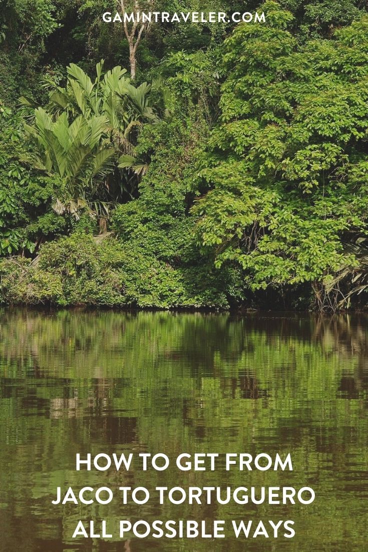 How To Get From Jaco To Tortuguero Best Way 1 How To Get From Jaco To Tortuguero - All Possible Ways, cheapest way from Jaco to Tortuguero, Jaco to Tortuguero, Jaco to Tortuguero bus, La Pavona To Tortuguero, San Jose to Cariari, Cariari to La Pavona, San Jose to Tortuguero