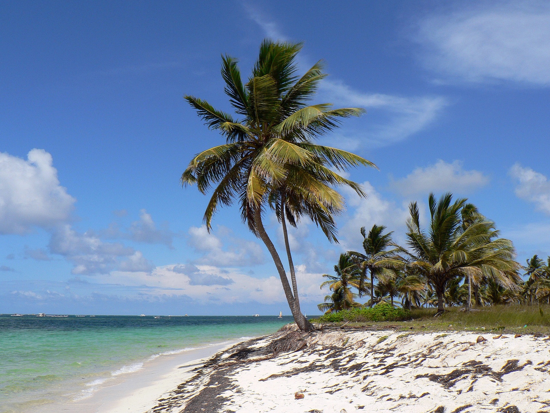 How To Get From Sosua to Punta Cana Airport - All Possible Ways, cheapest way from Sosua to Punta Cana, Sosua to Punta Cana, Sosua Beach to Punta Cana bus, Sosua to Punta Cana Airport, Caribe Tours Sosua to Punta Cana, Metro Bus Sosua to Punta Cana