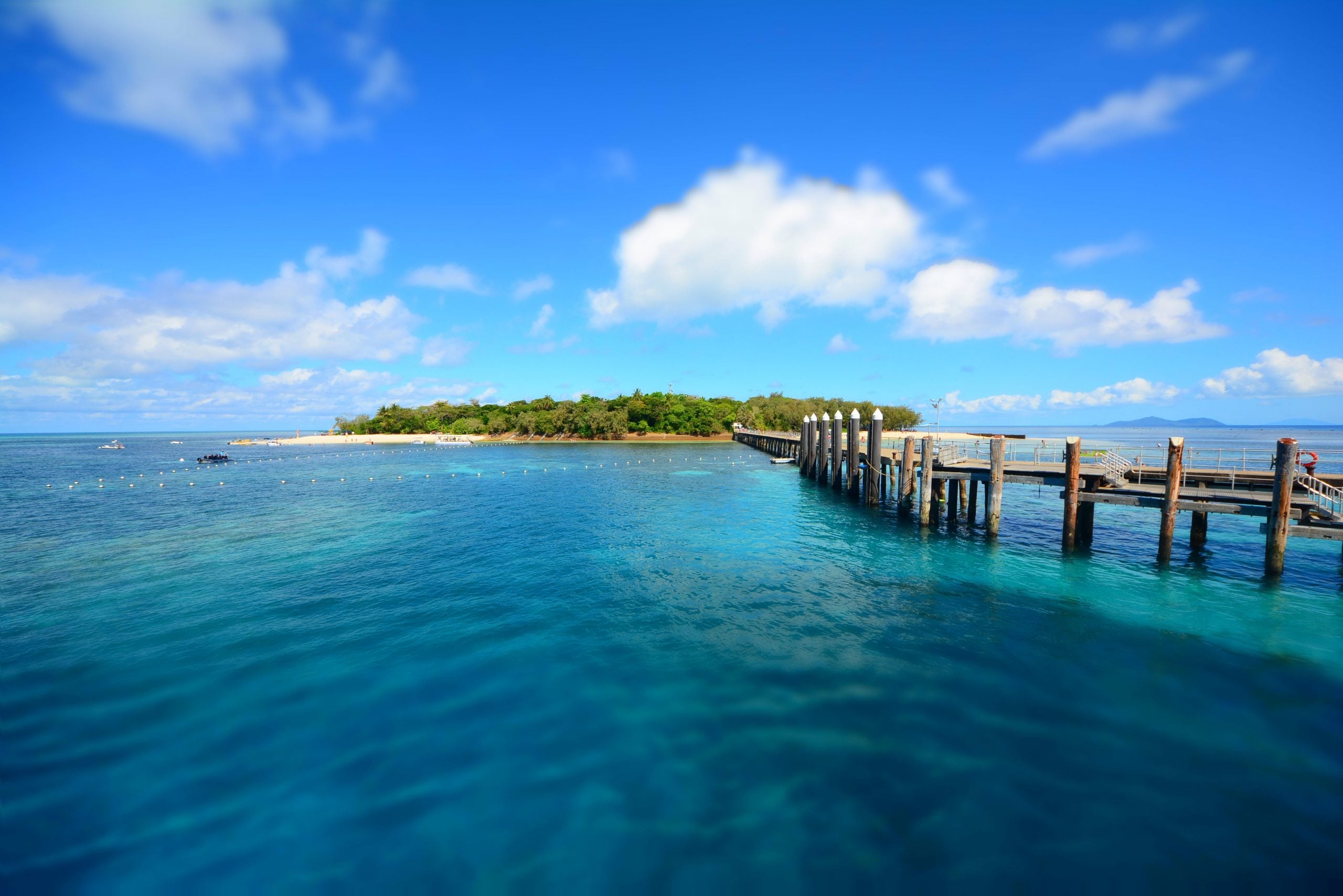 How To Get From Cairns Airport To Palm Cove - All Possible Ways, cheapest way from Cairns airport to Palm Cove, cheapest way from Cairns airport to Palm Cove, Cairns airport to Palm Cove, Cairns Bus Airport to Palm Cove, shuttle bus Cairns airport to Palm Cove, Cairns to Palm Cove