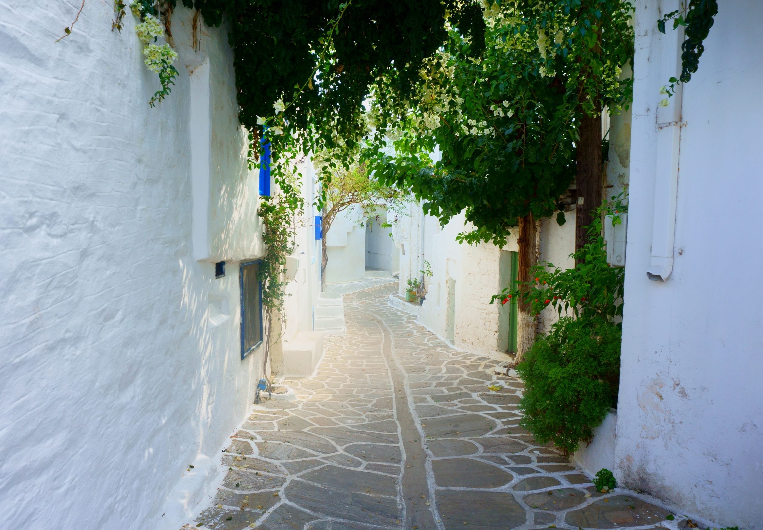 How To Get From Paros Airport To Parikia - All Possible Ways, cheapest way from Paros airport to Parikia, cheapest way from Paros airport to Parikia, Paros airport to Parikia, cheapest way from Paros airport to Parikia town, Paros airport to Parikia town, Paros Bus Airport, bus from Paros airport to Parikia town, taxi Paros airport to Parikia, Uber Paros airport to Parikia, Paros airport to Parikia by bus