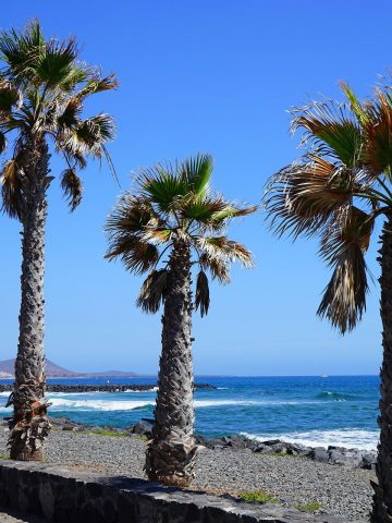 How To Get From Tenerife North Airport To Playa de las Americas - All Possible Ways, cheapest way from Tenerife North Airport to Playa de las Americas, Tenerife North Airport to Playa de las Americas, Tenerife North Airport to Playa de las Americas, Tenerife North Airport to Playa de las Americas, Tenerife Bus Airport, bus from Tenerife North Airport to Playa de las Americas, taxi Tenerife North Airport to Playa de las Americas, Uber Tenerife North Airport to Playa de las Americas, Tenerife North Airport to Playa de las Americas by bus, Tenerife North Airport to Playa de las Americas, Titsa bus fare Tenerife North Airport to Playa de las Americas, Day Travel Card Tenerife, Titsa Bus Day Travel Card