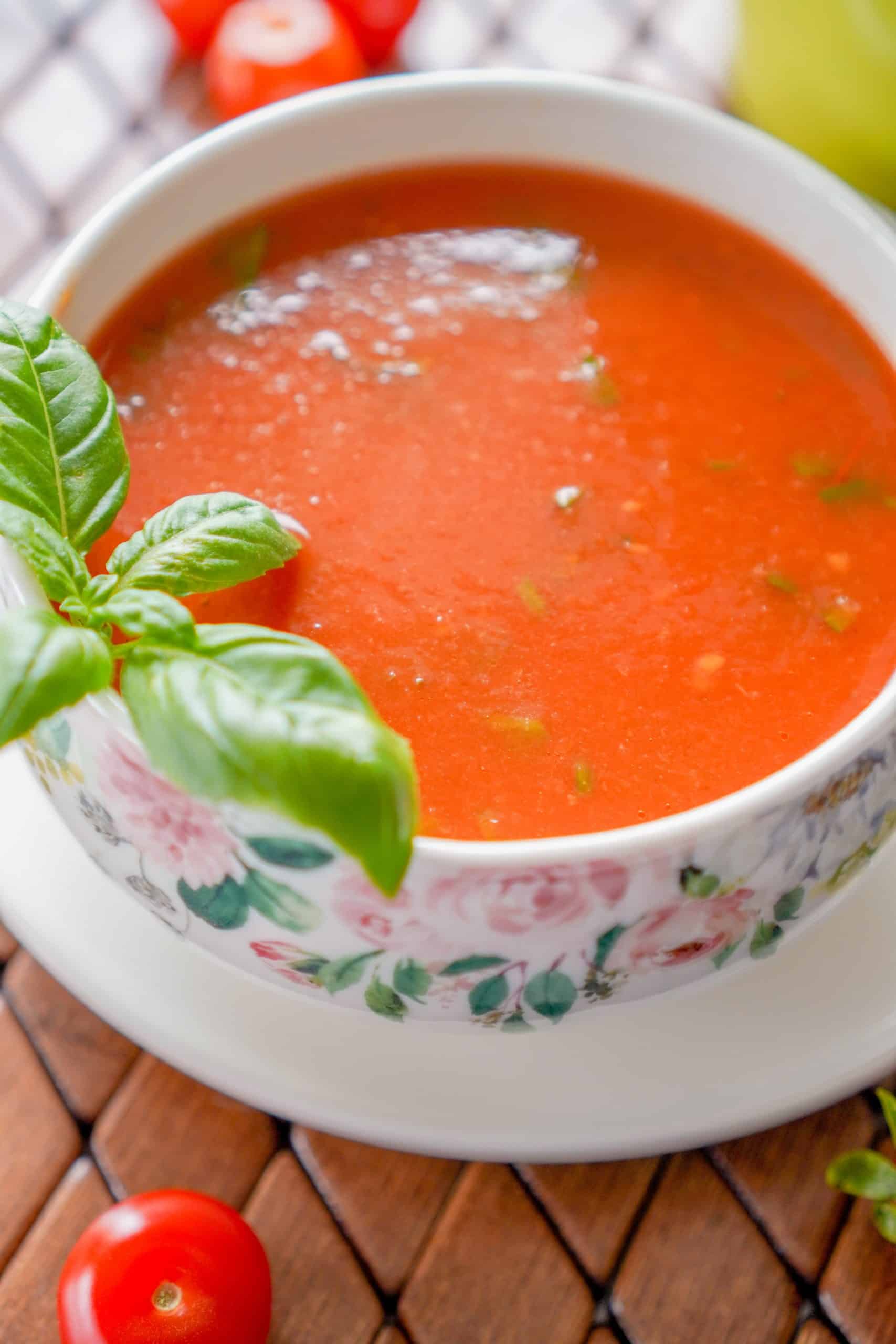 Salmorejo, vegetarian food in Spain, vegan food in Spain, Spainish vegetarian dishes, vegan in Spain, vegetarian in Spain, plant based food in Spain
