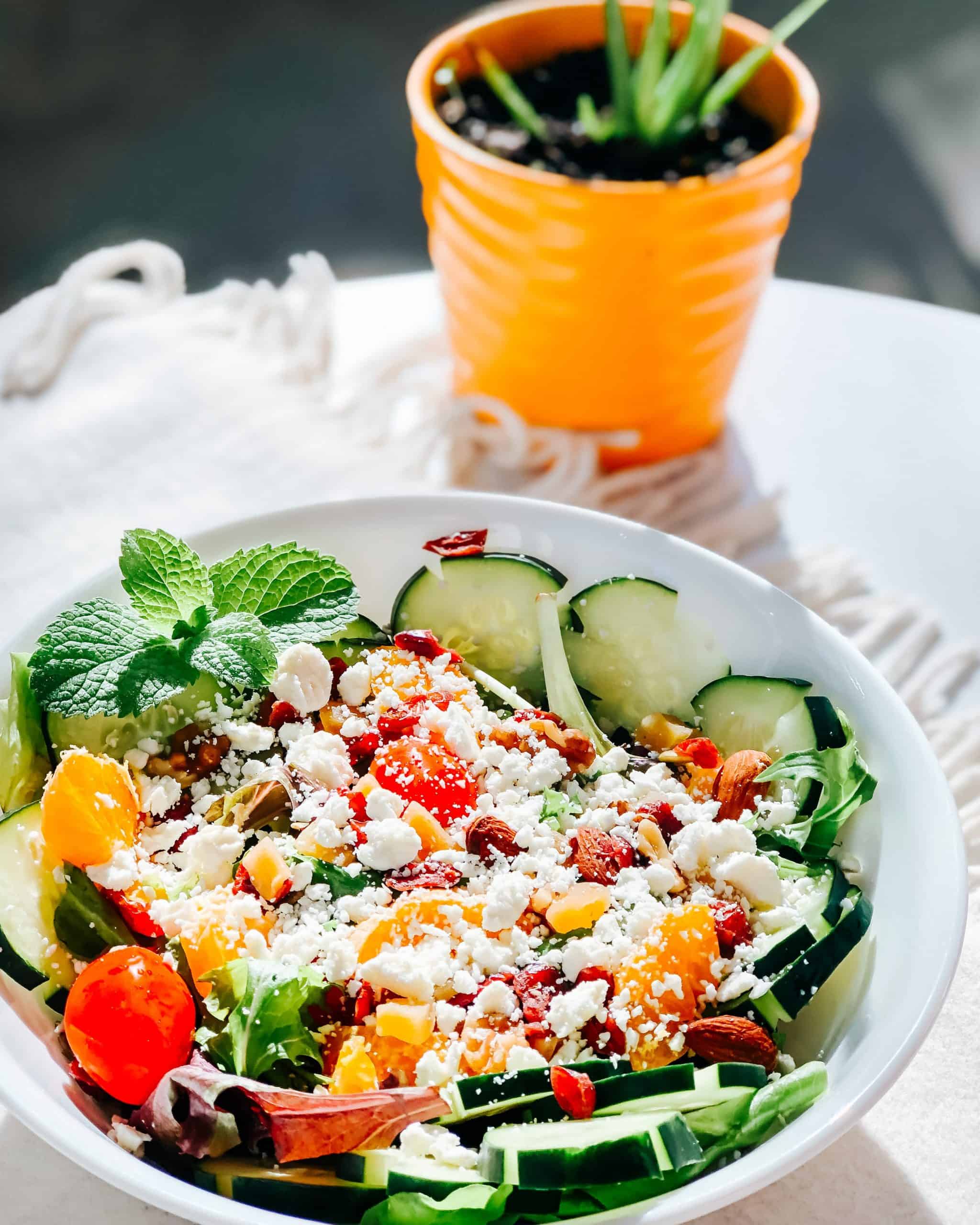 vegetarian food in Spain, vegan food in Spain, Spainish vegetarian dishes, vegan in Spain, vegetarian in Spain, plant based food in Spain