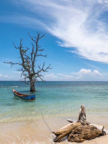 best Tonga eSim, Tonga esim, Tonga esim unlimited data, unlimited data esim Tonga, best esim for Tonga, Tonga tourist esim, esim Tonga, Tonga esim, Tonga esim for tourist, Tonga esim for tourists, Tonga prepaid esim, Prepaid eSim in Tonga, cheapest esim in Tonga, best data plan esim Tonga, Airalo Tonga Esim, Holafly Tonga eSim, Nomad eSim Tonga, MTX eSim Tonga, data eSim in Tonga, Airalo Tonga esim discount code, Holafly Tonga discount code, Nomad Tonga esim discount code, Ubigi Tonga esim discount code