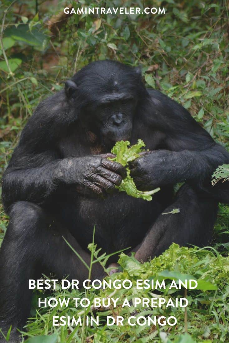 best DR Congo esim, DR Congo esim unlimited data, unlimited data esim DR Congo, best esim for DR Congo, DR Congo tourist esim, esim DR Congo, DR Congo esim, DR Congo esim for tourist, DR Congo esim for tourists, DR Congo prepaid esim, Prepaid eSim in DR Congo, cheapest esim in DR Congo, best data plan esim DR Congo, Airalo DR Congo Esim, Holafly DR Congo eSim, GigSky DR Congo eSim, Ubigi DR Congo esim discount code, Nomad eSim DR Congo, MTX eSim DR Congo, data eSim in DR Congo, Airalo DR Congo esim discount code, Holafly DR Congo discount code, Nomad DR Congo esim discount code