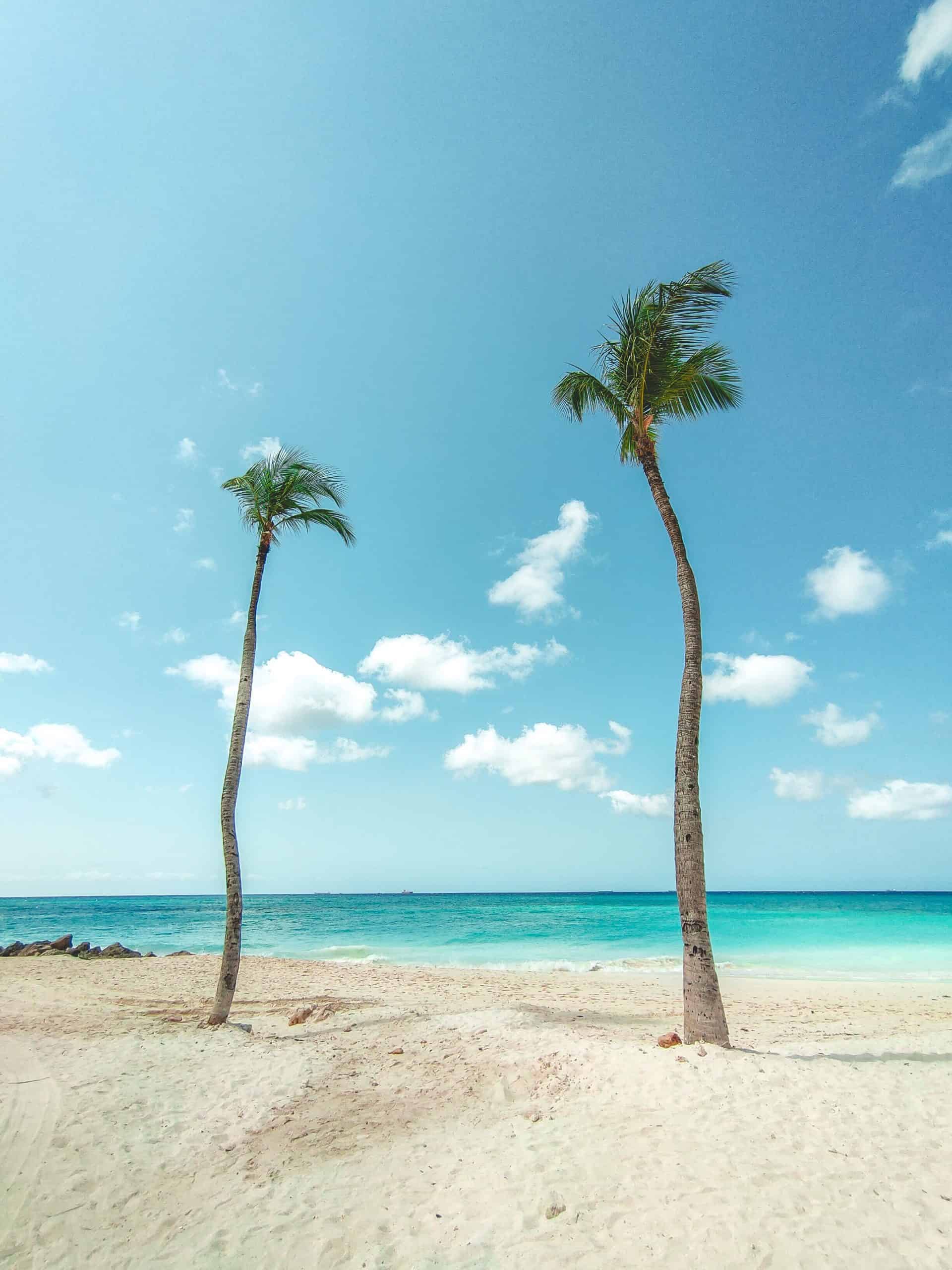 Comparison Puerto Rico vs Aruba - Which Is Better Destination? 11 Barbados vs Aruba - Is Barbados the Better Caribbean Trip?