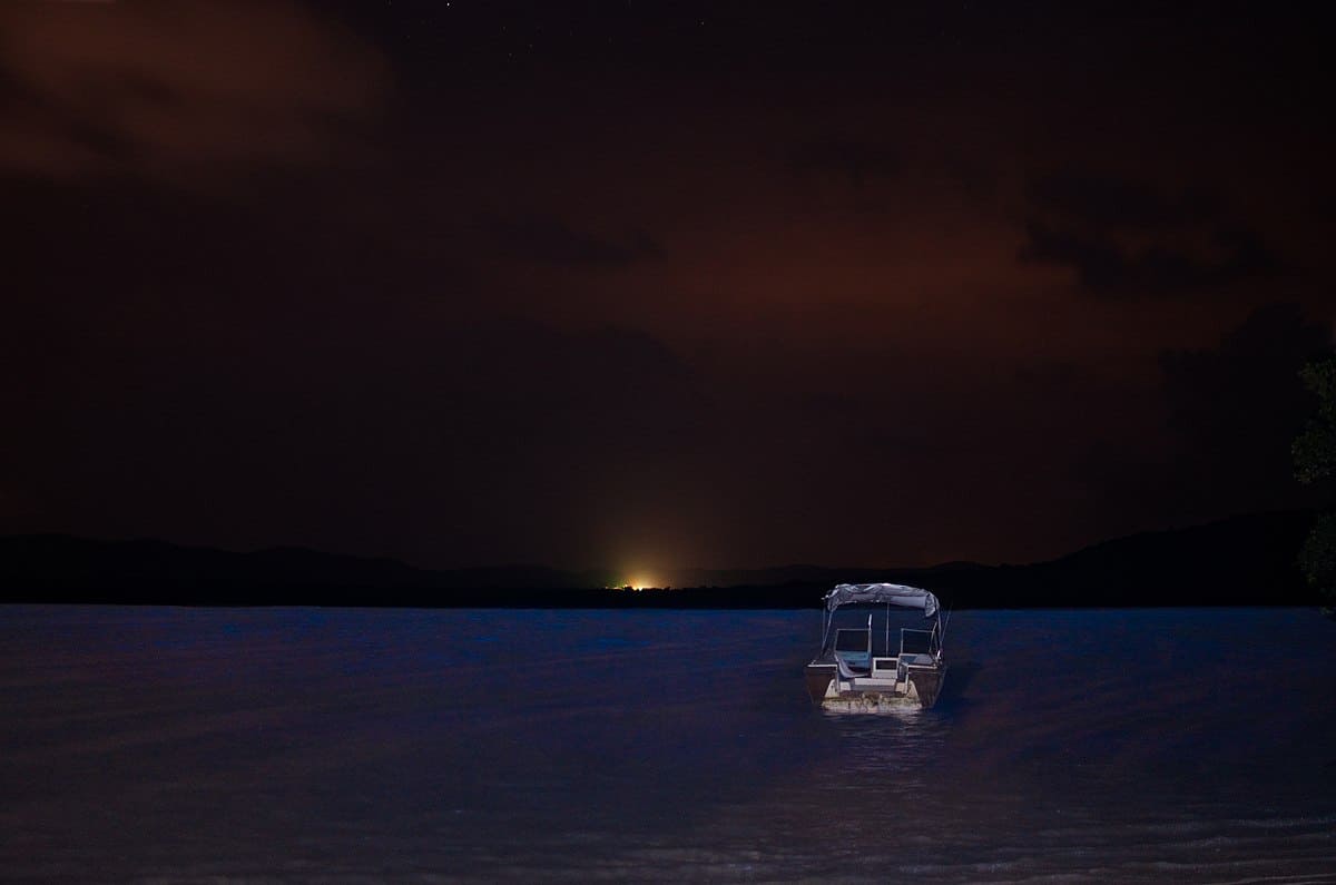 Mosquito bay Bioluminescent bay Vieques Puerto Rico