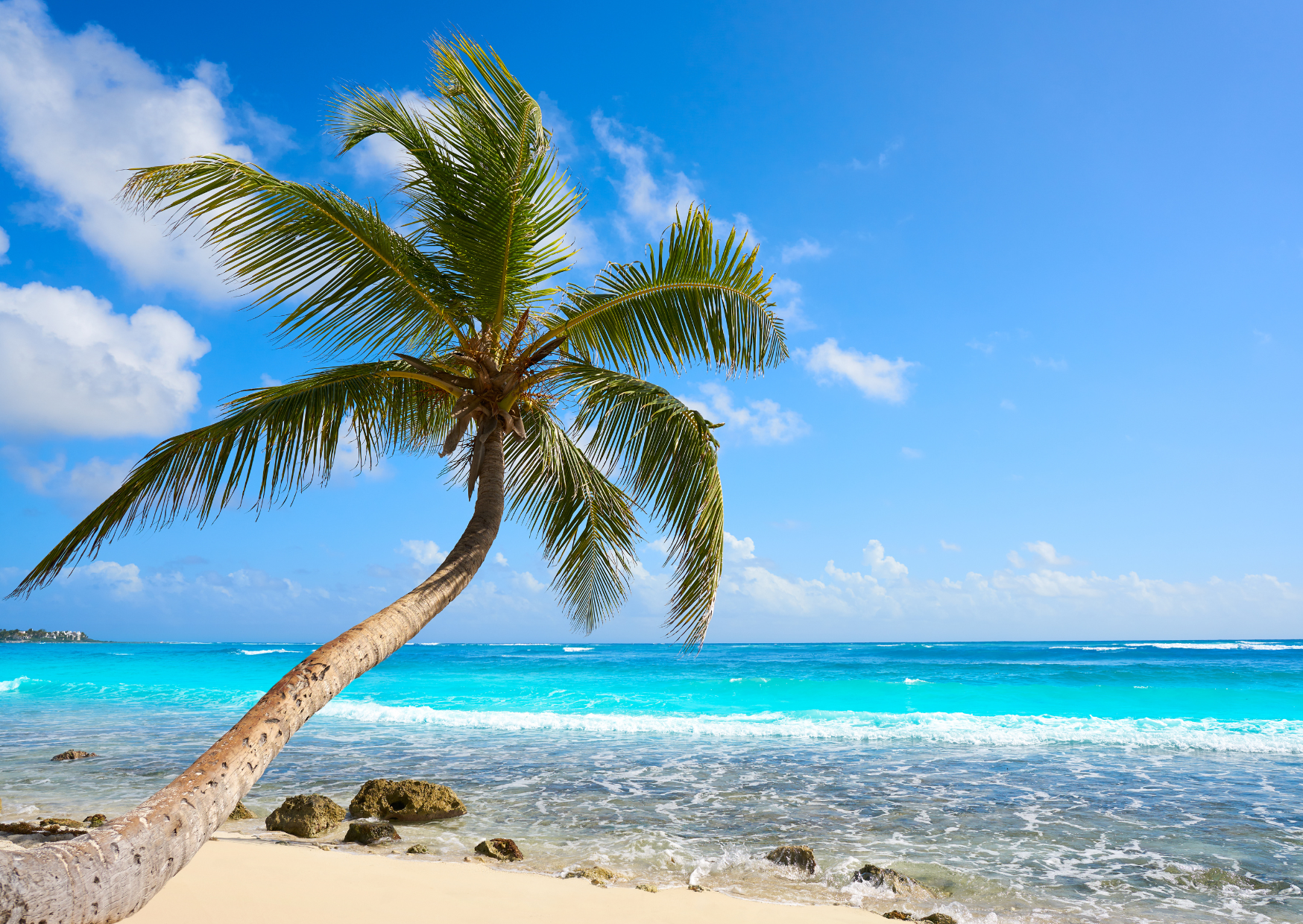 Akumal Beach in Mexico, Akumal vs Tulum - Which is the Better Vacation?