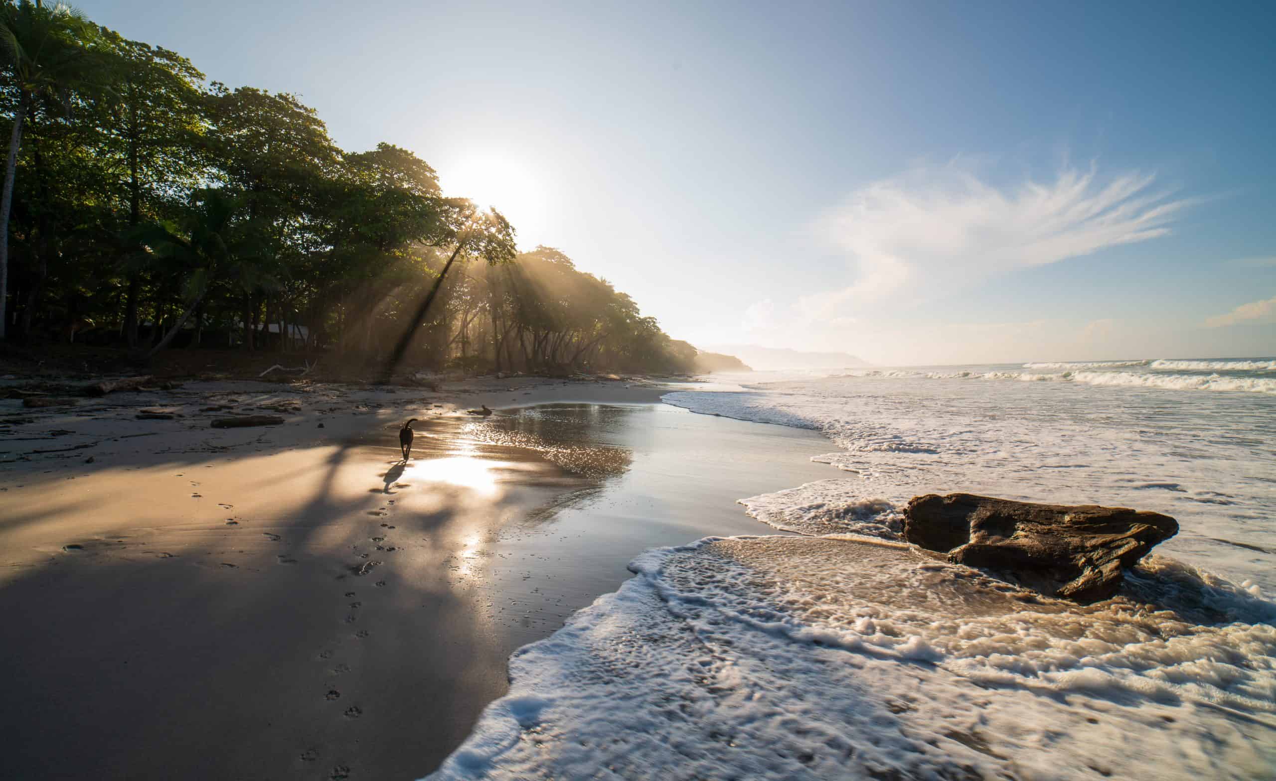 Playa Santa Teresa - Nosara vs Santa Teresa in Costa Rica