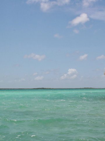How To Get From Palenque to Bacalar - All Possible Ways, cheapest way from Palenque to Bacalar, Palenque to Bacalar, ado bus from Palenque to Bacalar, AU Autobuses Unidos bus from Palenque to Bacalar, shared van from Palenque to Bacalar, Colectivo from Palenque to Bacalar, Uber from Palenque to Bacalar, taxi from Palenque to Bacalar