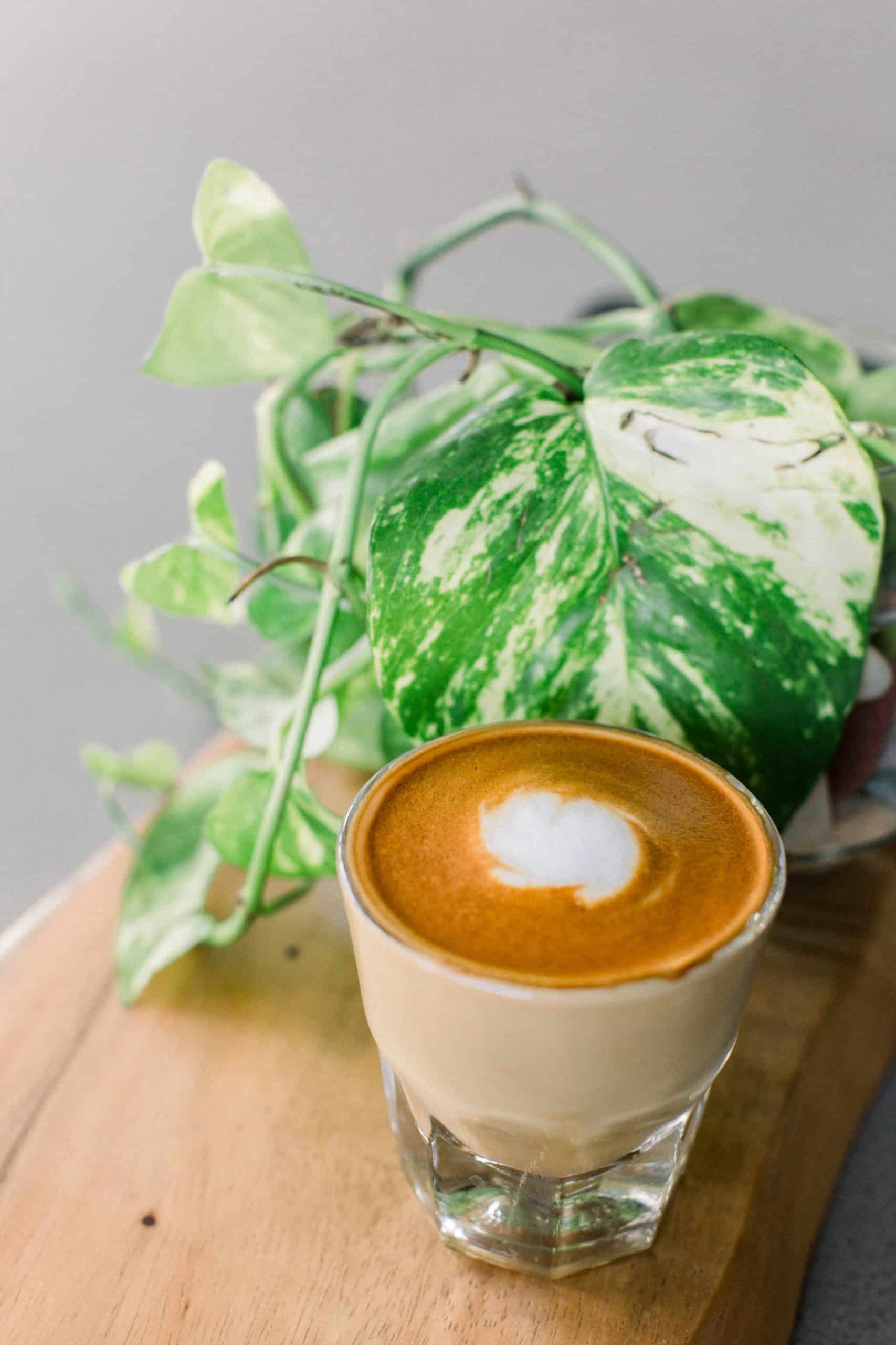 What Spanish People Really Eat for Breakfast: 20 Spanish Traditional Breakfast Recipes To Try 6 cafe cortado Spanish breakfast - breakfast in Spain