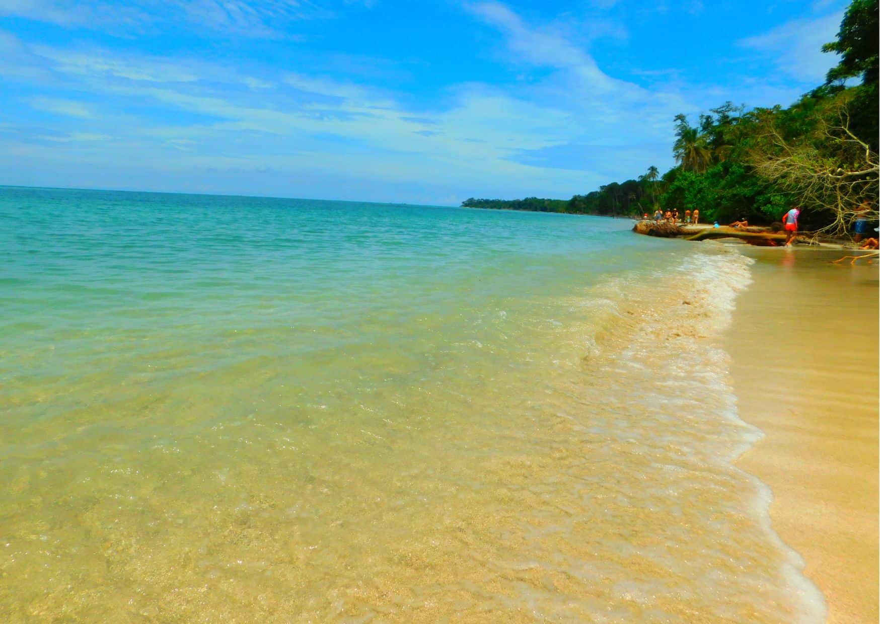 How To Get From San Jose To Cahuita Best Way 5 How To Get From San Jose To Cahuita – All Possible Ways, San Jose to La Cahuita, San Jose airport to La Cahuita, cheapest way from San Jose to La Cahuita, best way from San Jose to La Cahuita, San Jose to La Cahuita by bus, bus from San Jose to La Cahuita, taxi from San Jose to La Cahuita, Uber from San Jose to La Cahuita, private transfer from San Jose to La Cahuita, Shared Van from San Jose to La Cahuita, rent a car at San Jose