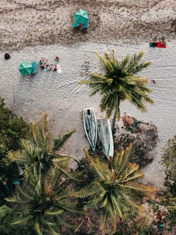 How To Get From La Fortuna to Nosara Best Way – All Possible Ways, La Fortuna to Nosara Beach, La Fortuna to Nosara, La Fortuna to Nosara transfer, cheapest way from La Fortuna to Nosara, bus from La Fortuna to Nosara, from La Fortuna to Nosara by bus, taxi from La Fortuna to Nosara, private transfer from La Fortuna to Nosara, Shared Van from La Fortuna to Nosara, rent a car in La Fortuna, uber from La Fortuna to Nosara
