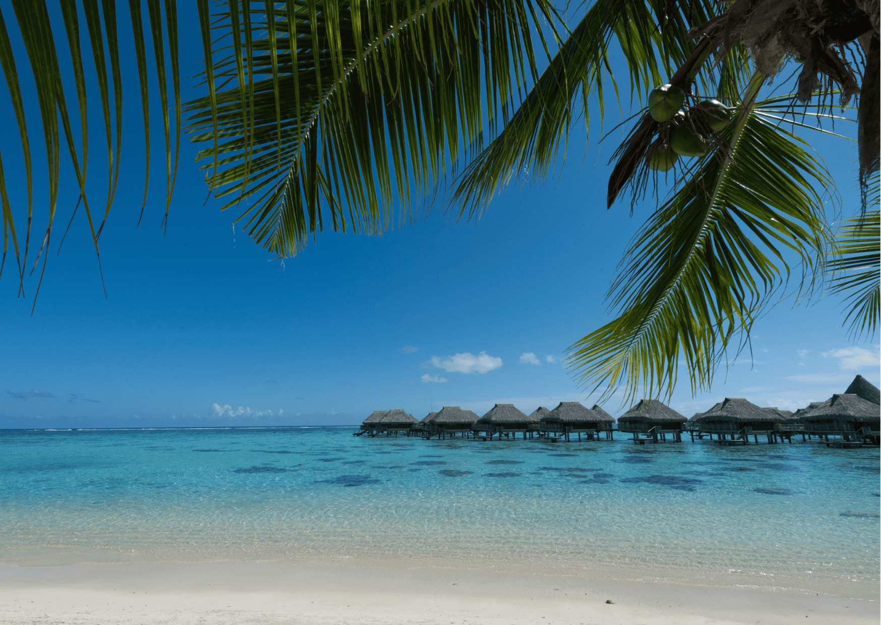 Comparison Tahiti vs Hawaii - Which is a Better Vacation? 5 Tahiti vs Hawaii, Hawaii vs Tahiti