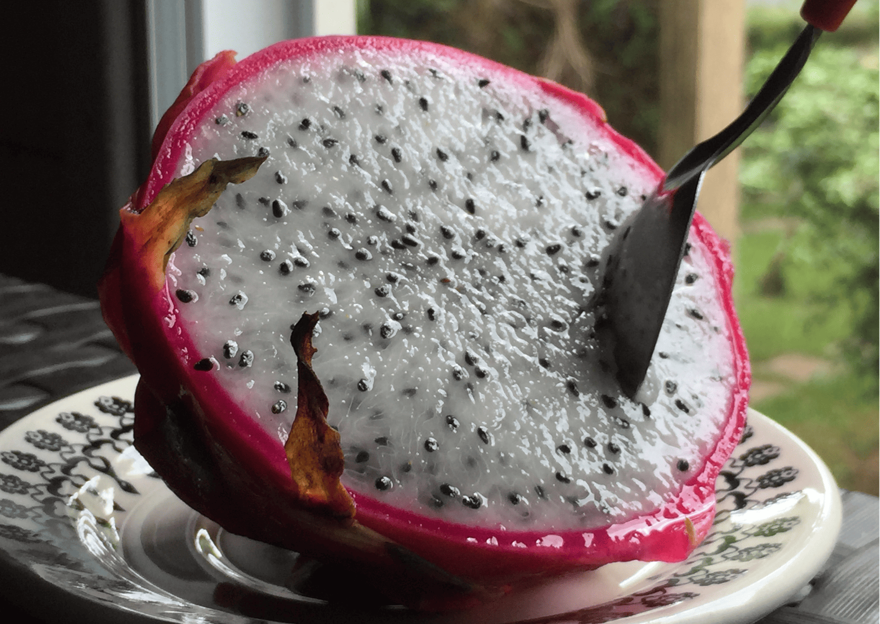 Nicaragua Fruits – 20 Exotic Nicaraguan Fruits and What Fruits in Nicaragua to Never Miss
