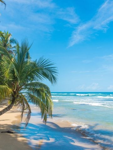 How To Get From Bocas del Toro to Puerto Viejo Best Way – All Possible Ways, Bocas del Toro to Puerto Viejo, Bocas del Toro to Puerto Viejo transfer, cheapest way from Bocas del Toro to Puerto Viejo, bus from Bocas del Toro to Puerto Viejo, from Bocas del Toro to Puerto Viejo by bus, taxi from Bocas del Toro to Puerto Viejo, private transfer from Bocas del Toro to Puerto Viejo, Shared Van from Bocas del Toro to Puerto Viejo, rent a car in Bocas del Toro, bus from Sixaola to Puerto Viejo, bus from Almirante to Sixaola, Bocas del Toro to Almirante, uber from Puerto Viejo to Bocas del Toro, water taxi from Bocas del toro to almirante