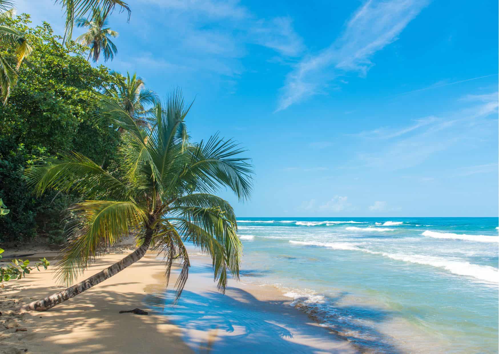 How To Get From Bocas del Toro to Puerto Viejo Best Way 4 How To Get From Bocas del Toro to Puerto Viejo Best Way – All Possible Ways, Bocas del Toro to Puerto Viejo, Bocas del Toro to Puerto Viejo transfer, cheapest way from Bocas del Toro to Puerto Viejo, bus from Bocas del Toro to Puerto Viejo, from Bocas del Toro to Puerto Viejo by bus, taxi from Bocas del Toro to Puerto Viejo, private transfer from Bocas del Toro to Puerto Viejo, Shared Van from Bocas del Toro to Puerto Viejo, rent a car in Bocas del Toro, bus from Sixaola to Puerto Viejo, bus from Almirante to Sixaola, Bocas del Toro to Almirante, uber from Puerto Viejo to Bocas del Toro, water taxi from Bocas del toro to almirante
