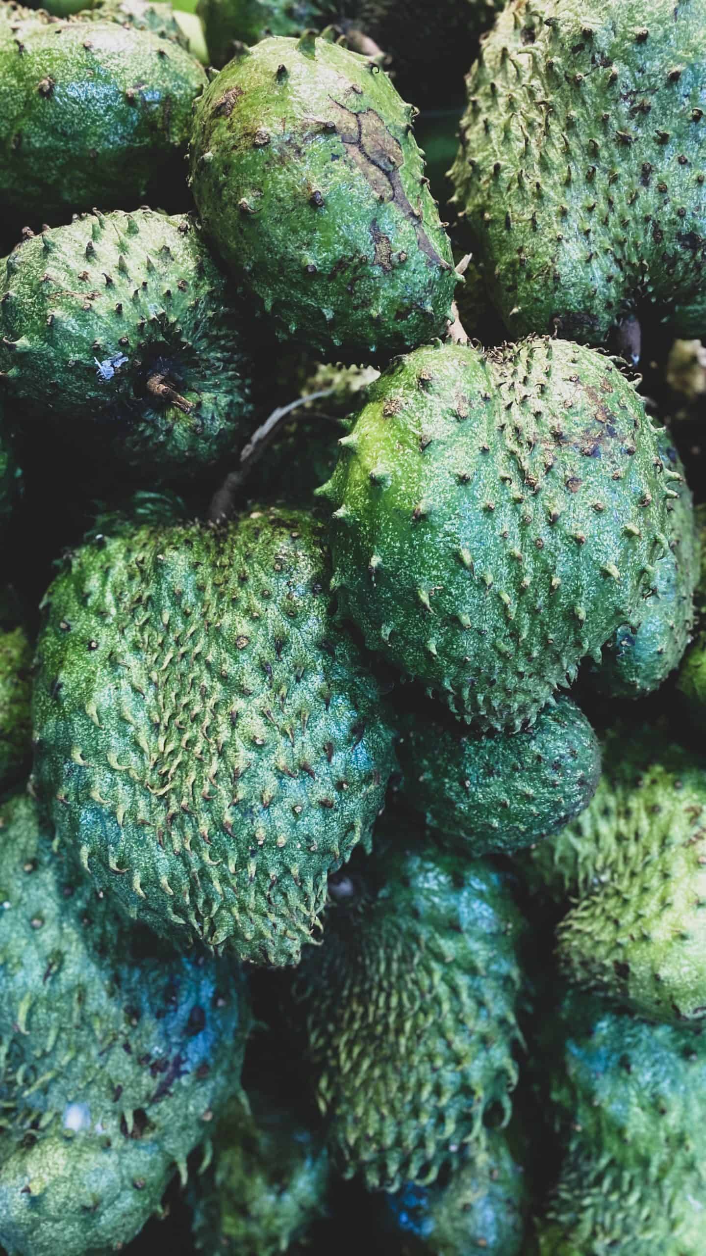 Nicaragua Fruits – 20 Exotic Nicaraguan Fruits and What Fruits in Nicaragua to Never Miss
