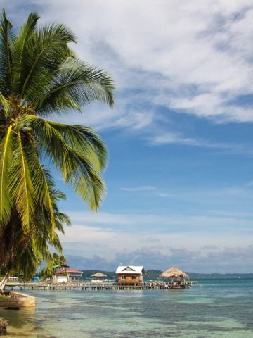 How To Get From San Jose to Bocas del Toro Best Way, San Jose airport to Bocas del Toro, San Jose to Bocas del Toro, cheapest way from San Jose to Bocas del Toro, San Jose to Bocas del Toro by bus, bus from San Jose to Bocas del Toro, taxi from San Jose to Bocas del Toro, UBER from San Jose to Bocas del Toro, private transfer from San Jose to Bocas del Toro, Shared Van from San Jose to Bocas del Toro, rent a car in San Jose airport, from San Jose to Bocas del Toro,