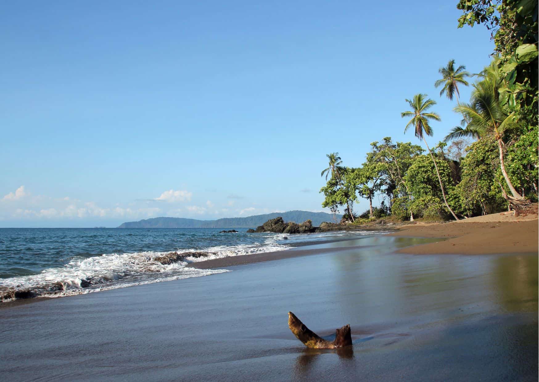 How To Get From Jaco To Drake Bay Best Way, Jaco to Drake Bay, cheapest way from Jaco to Drake Bay, Jaco to Drake Bay by bus, bus from Jaco to Drake Bay, taxi from Jaco to Drake Bay, UBER from Jaco to Drake Bay, private transfer from Jaco to Drake Bay, Shared Van Jaco to Drake Bay, boat from Sierpe to Drake Bay, rent a car in Jaco