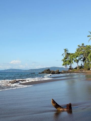 How To Get From Dominical To Drake Bay Best Way, Dominical to Drake Bay, cheapest way from Dominical to Drake Bay, Dominical to Drake Bay by bus, bus from Dominical to Drake Bay, taxi from Dominical to Drake Bay, UBER from Dominical to Drake Bay, private transfer from Dominical to Drake Bay, Shared Van from Dominical to Drake Bay, boat from Sierpe to Drake Bay, rent a car in Dominical