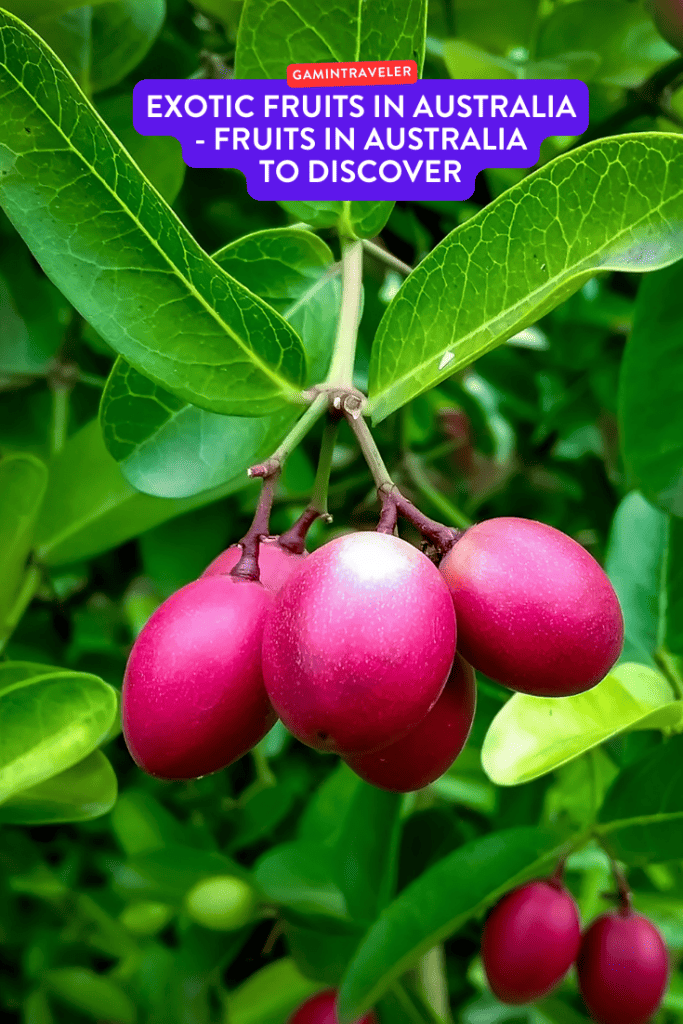 exotic fruits in Australia