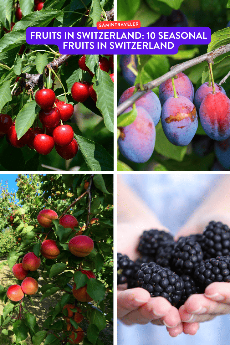 Fruits in Switzerland: 10 Seasonal Fruits in Switzerland 1 fruits in Switzerland, seasonal fruits in Switzerland, Swiss fruits