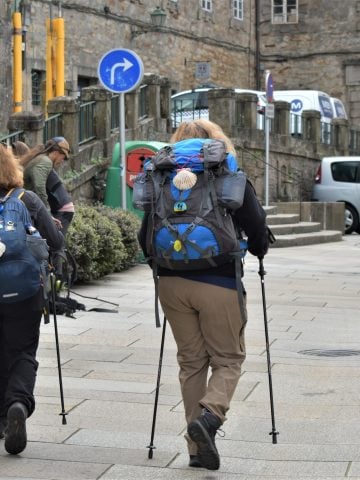 French, Spanish Or Portuguese Camino de Santiago: Which Is the Best Route?, A Comprehensive Guide to the Camino Francés Route
