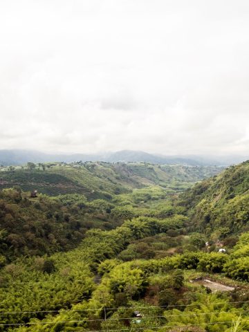 How To Get From Medellin to Armenia Best Way, best way from Medellin to Armenia, cheapest way from Medellin to Armenia, Medellin to Armenia, bus from Medellin to Armenia, by plane from Medellin to Armenia, Medellin to Armenia by van, Medellin to Armenia by bus,