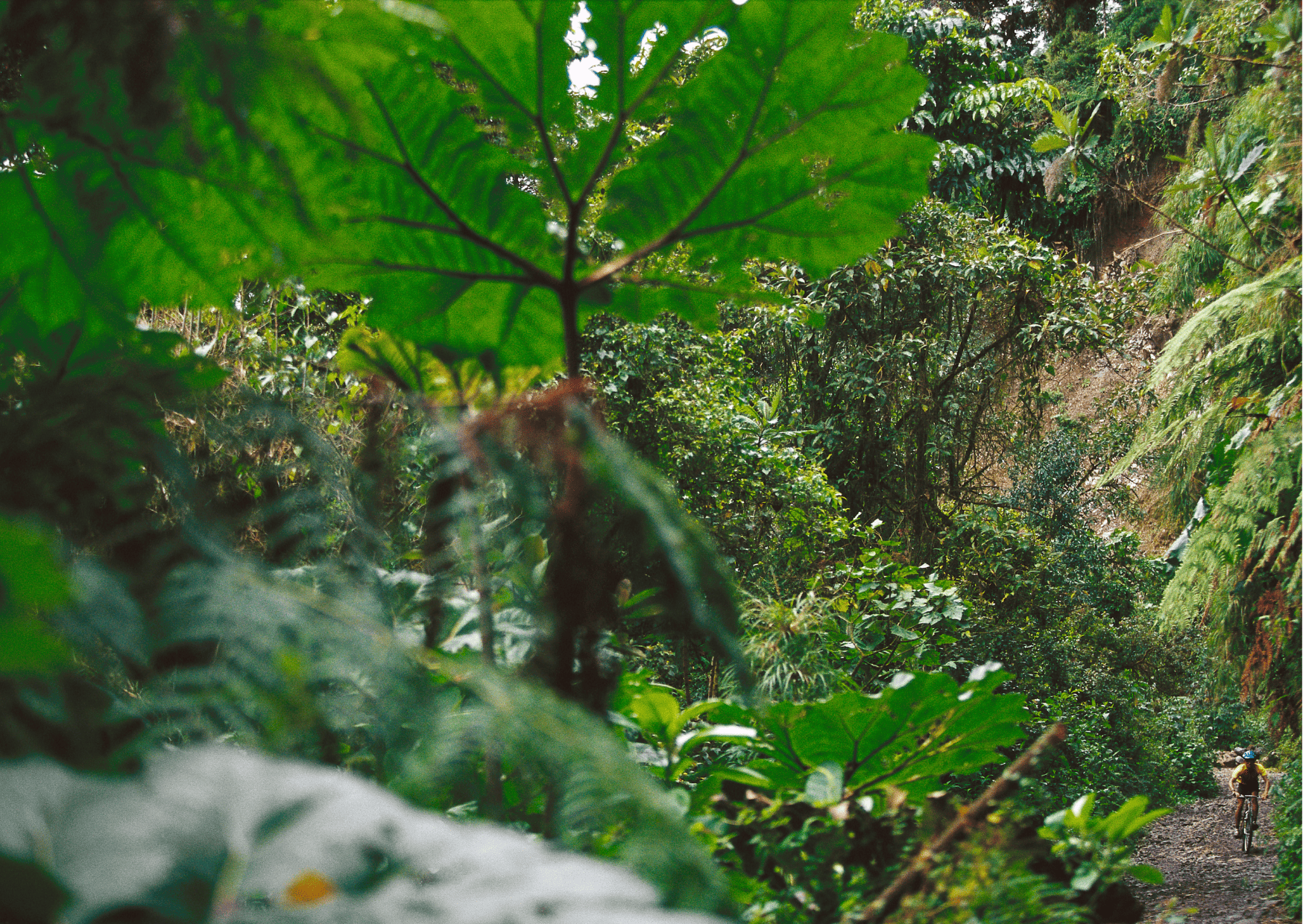 Costa Rica Dirt Bike Tours: Adventure Tours in Costa Rica 5 Costa Rica Dirt Bike Tours: Adventure Tours in Costa Rica