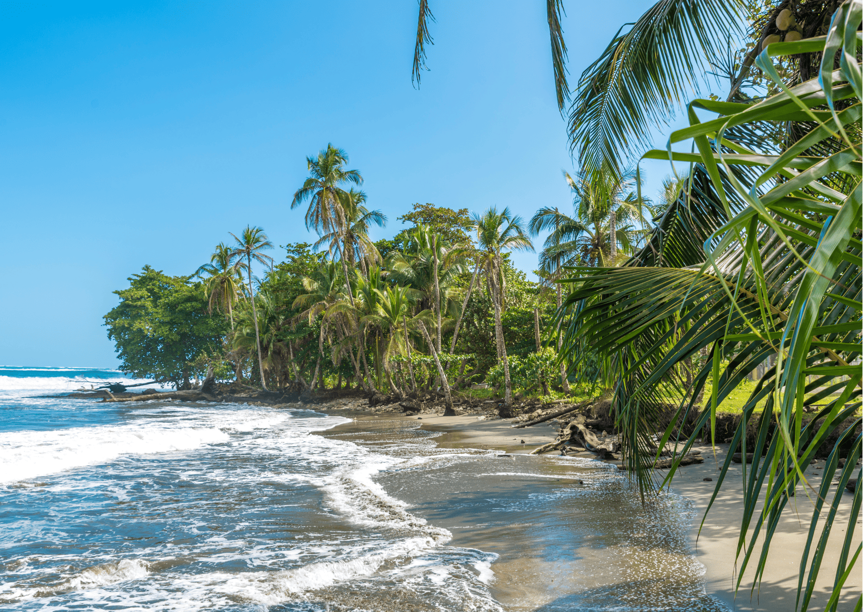 Full Guide to the Best Puerto Viejo Beaches - 10+ Beaches 2 Full Guide to the Best Puerto Viejo Beaches - 10+ Beaches