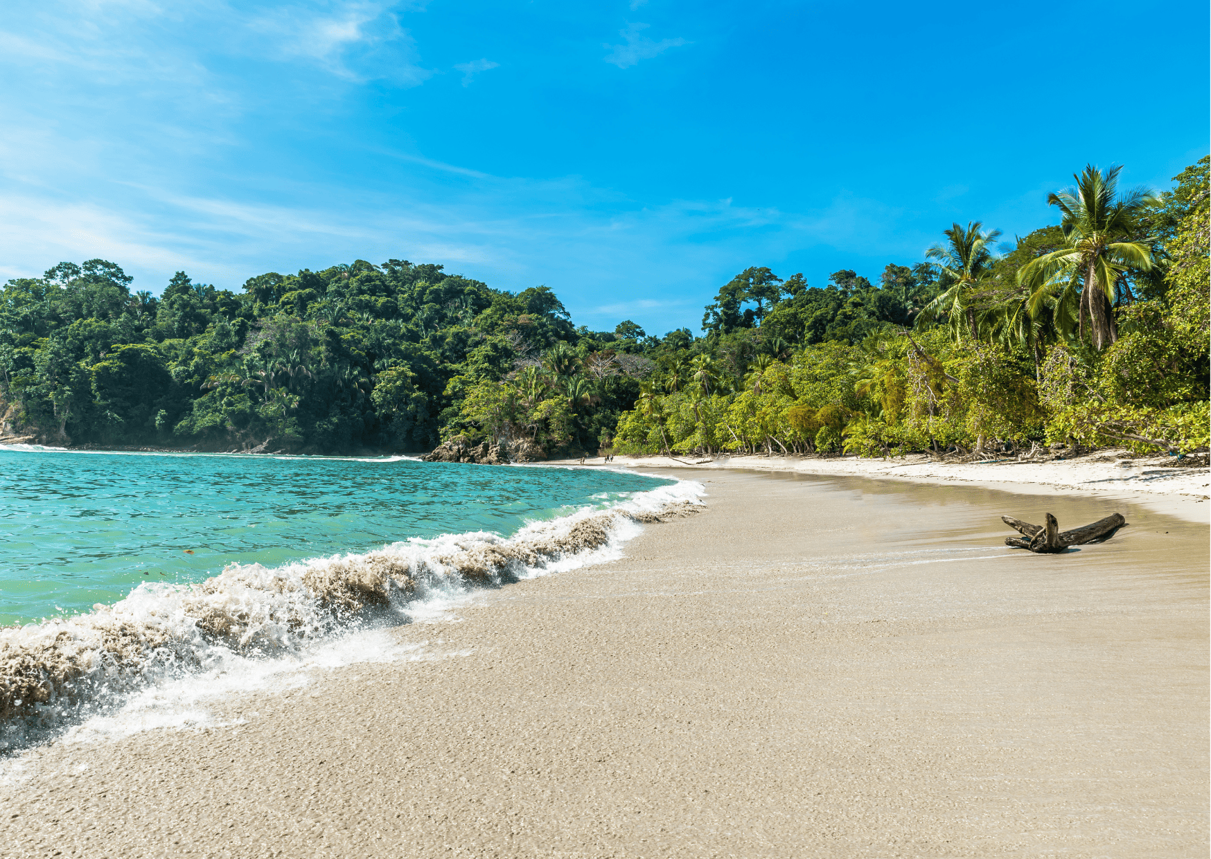 Tours in Manuel Antonio Costa Rica Manuel Antonio Beach