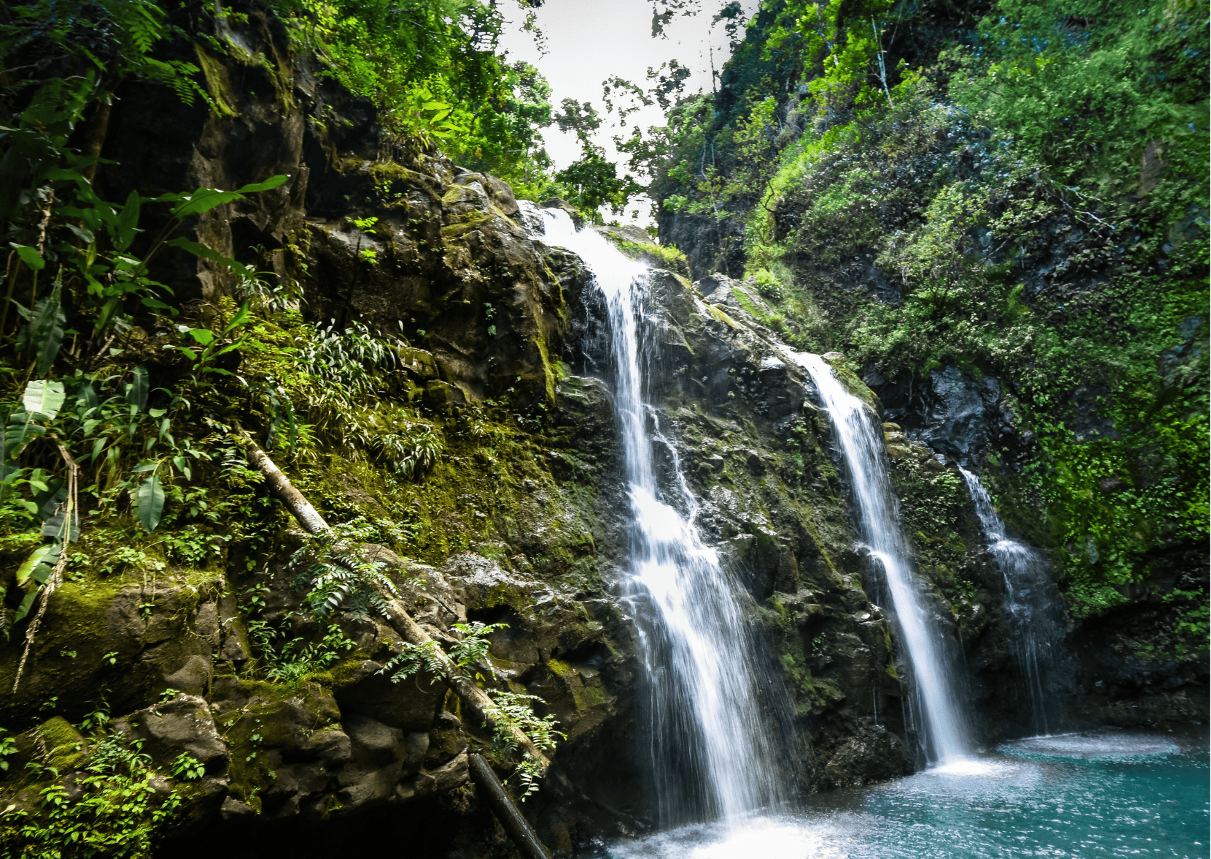 Waterfall Maui Hike: Top Hiking Trails in Maui to Visit