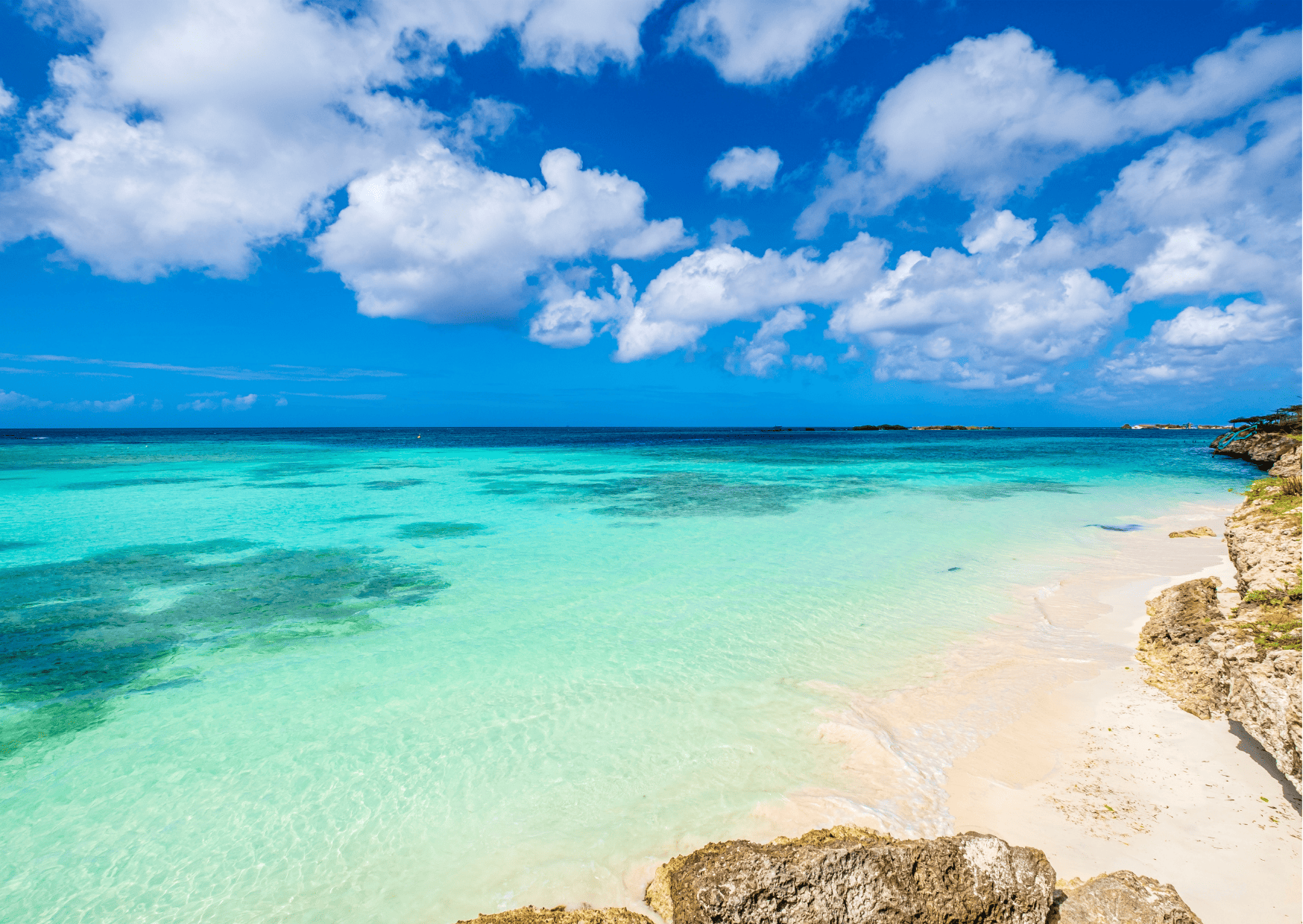 atv tours in Aruba