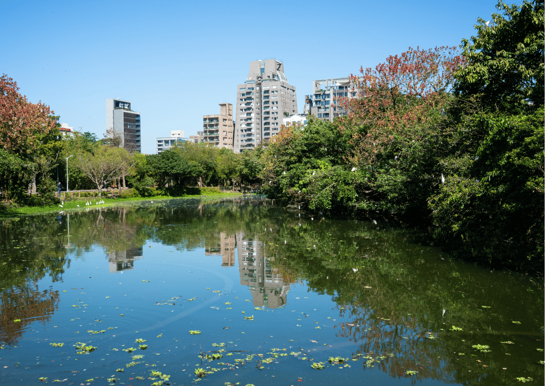 Things to Know About Taipei Before Visiting and Taipei Travel Tips