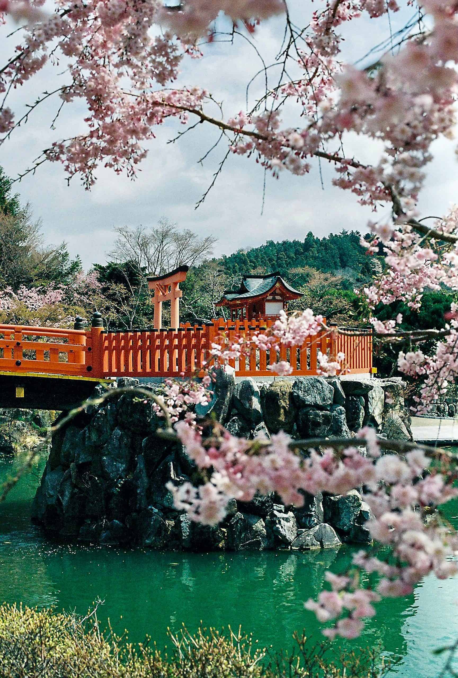 Zen and Beyond: Navigating Japan's Cultural Kaleidoscope