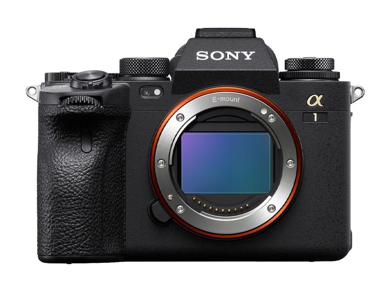 Why Mirrorless Cameras are a Must-Have