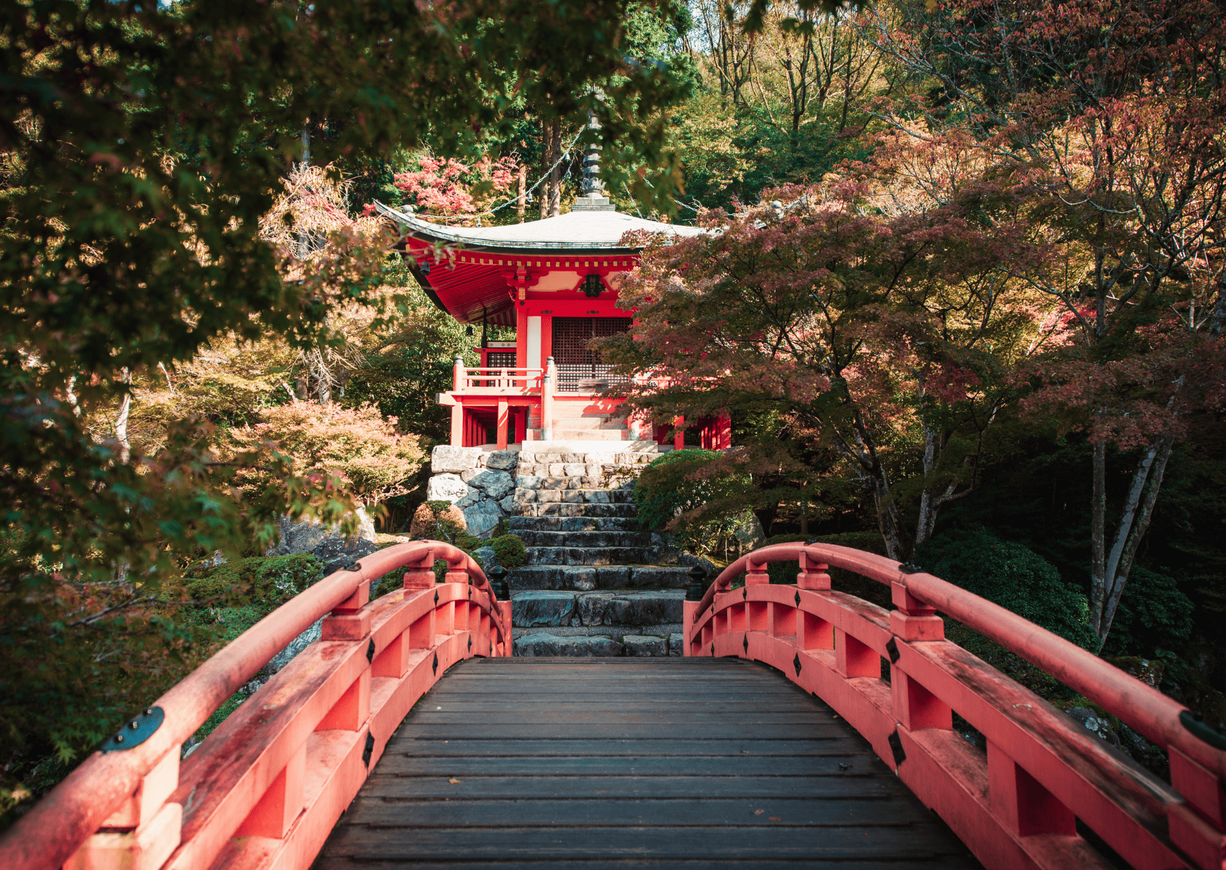 Tourists Do These Things in Japan Without Realizing How Rude They Look 9 Things To Know Before Visiting Japan_ Daigoji Temple in Kyoto Japan