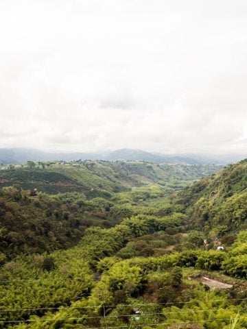 How To Get From Neiva to Armenia Best Way, cheapest way from Neiva to Armenia, Neiva to Armenia bus, Neiva Huila to Armenia, bus schedule Neiva to Armenia, Bookaway Neiva to Armenia, Coomotor Neiva to Armenia, best way from Neiva to Armenia, bus from Neiva to Armenia