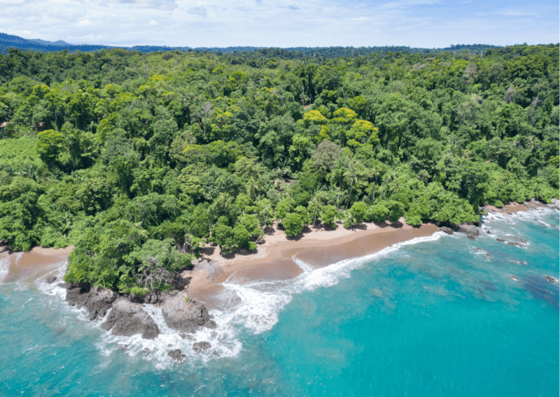 Corcovado National Park Costa Rica - 3 Week Costa Rica Itinerary_ Everything to Know and Do for a Costa Rica Three Week Itinerary