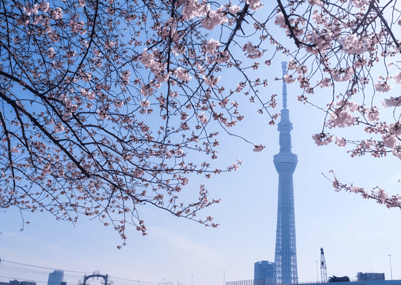 36 Hours in Tokyo: Everything To Do and What Not to Miss 3 36 Hours in Tokyo Views from the Tokyo Skytree Observation Deck