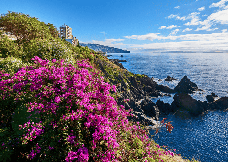 Madeira Portugal Living in Spain vs Portugal Which is Better