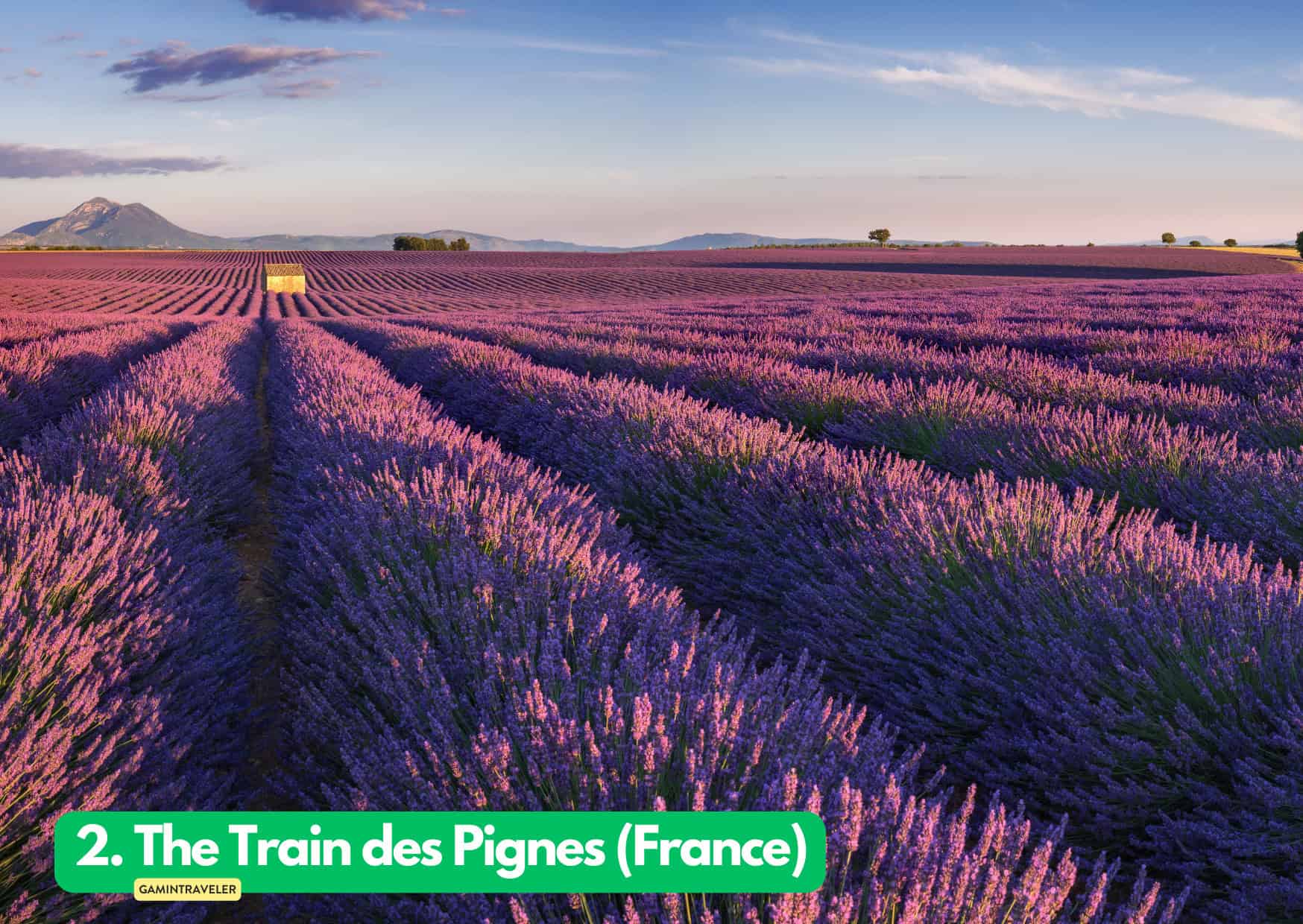 2. The Train des Pignes France Summer Train Journeys in Europe