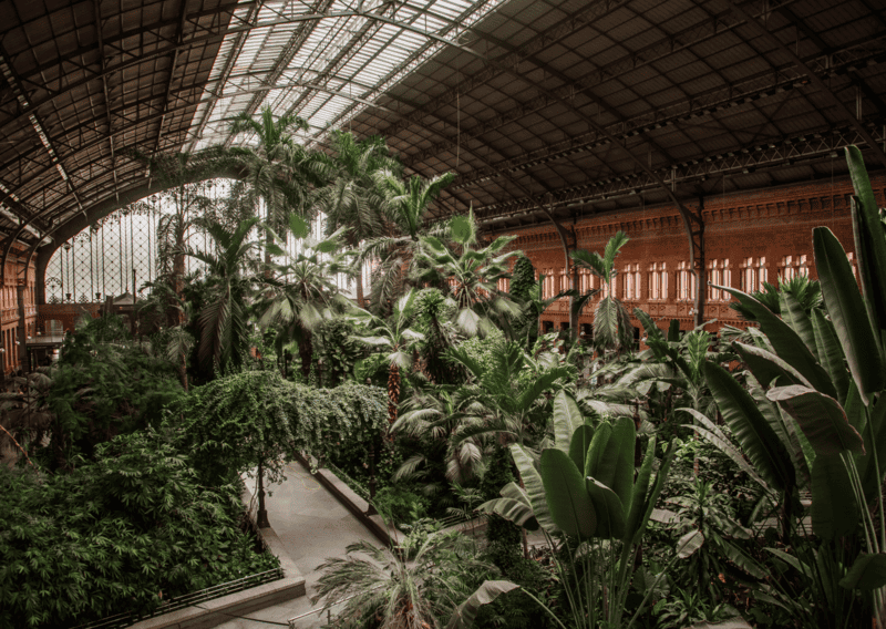 Thinking of Living in Madrid for a Year? Mistakes To Avoid And Best Tips To Live In Madrid 4 Living in Madrid for a Year Atocha Railway Station in Madrid