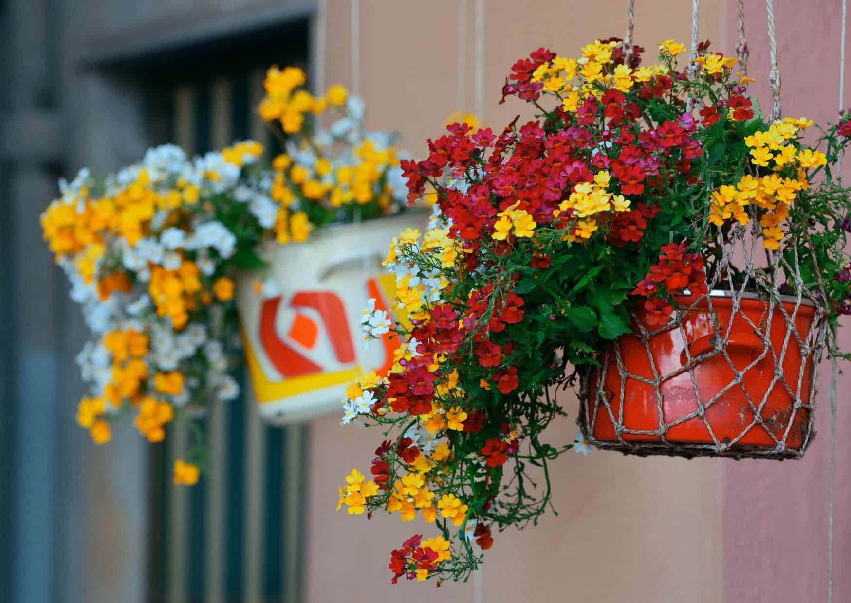 Corniglia, 