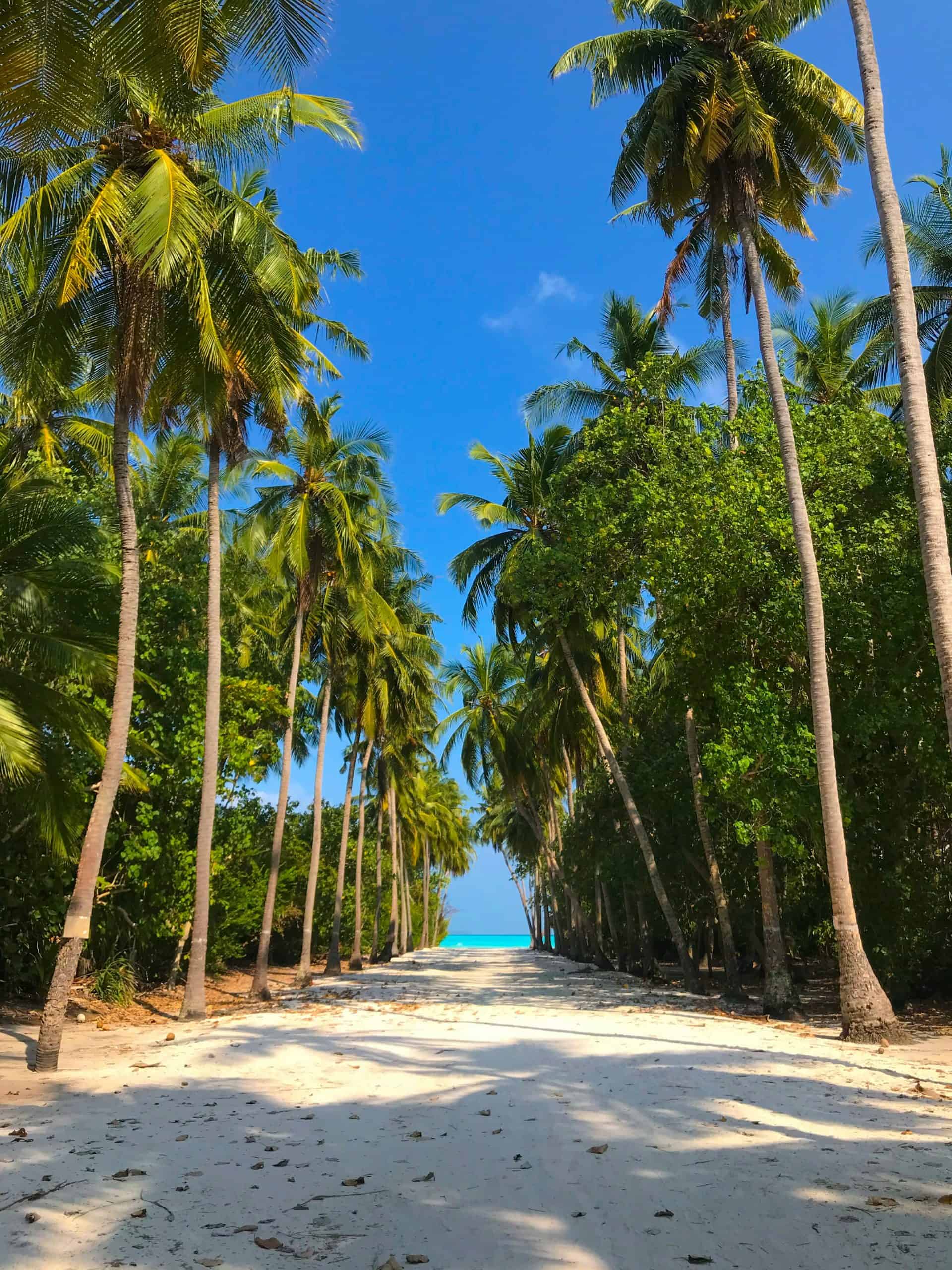 The very beautiful and famous walkway that leads to the thundi in Baa Fulhadhoo, Maldives - Best Local Maldives Beaches
