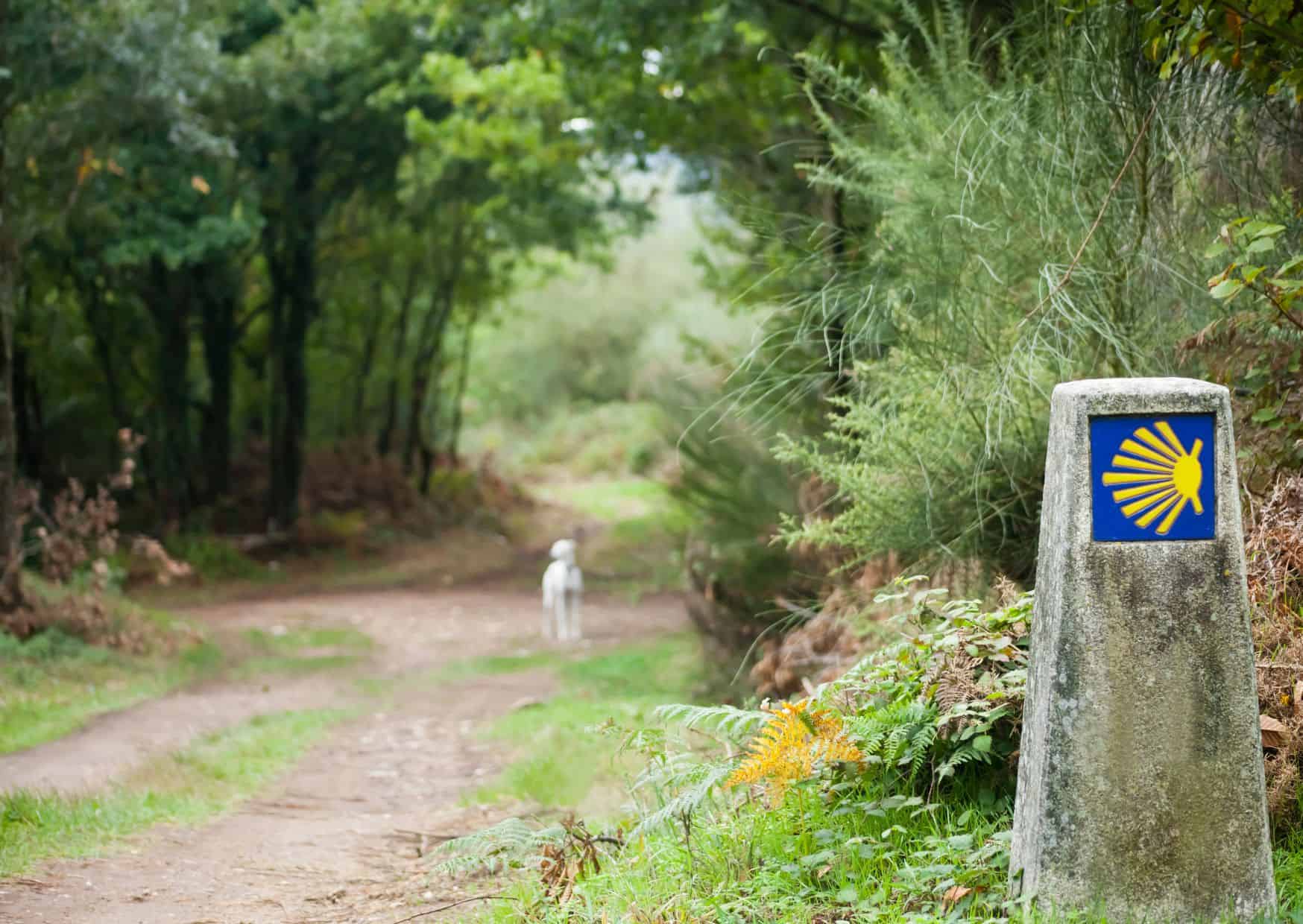 15 Common Mistakes To Avoid on the Camino de Santiago